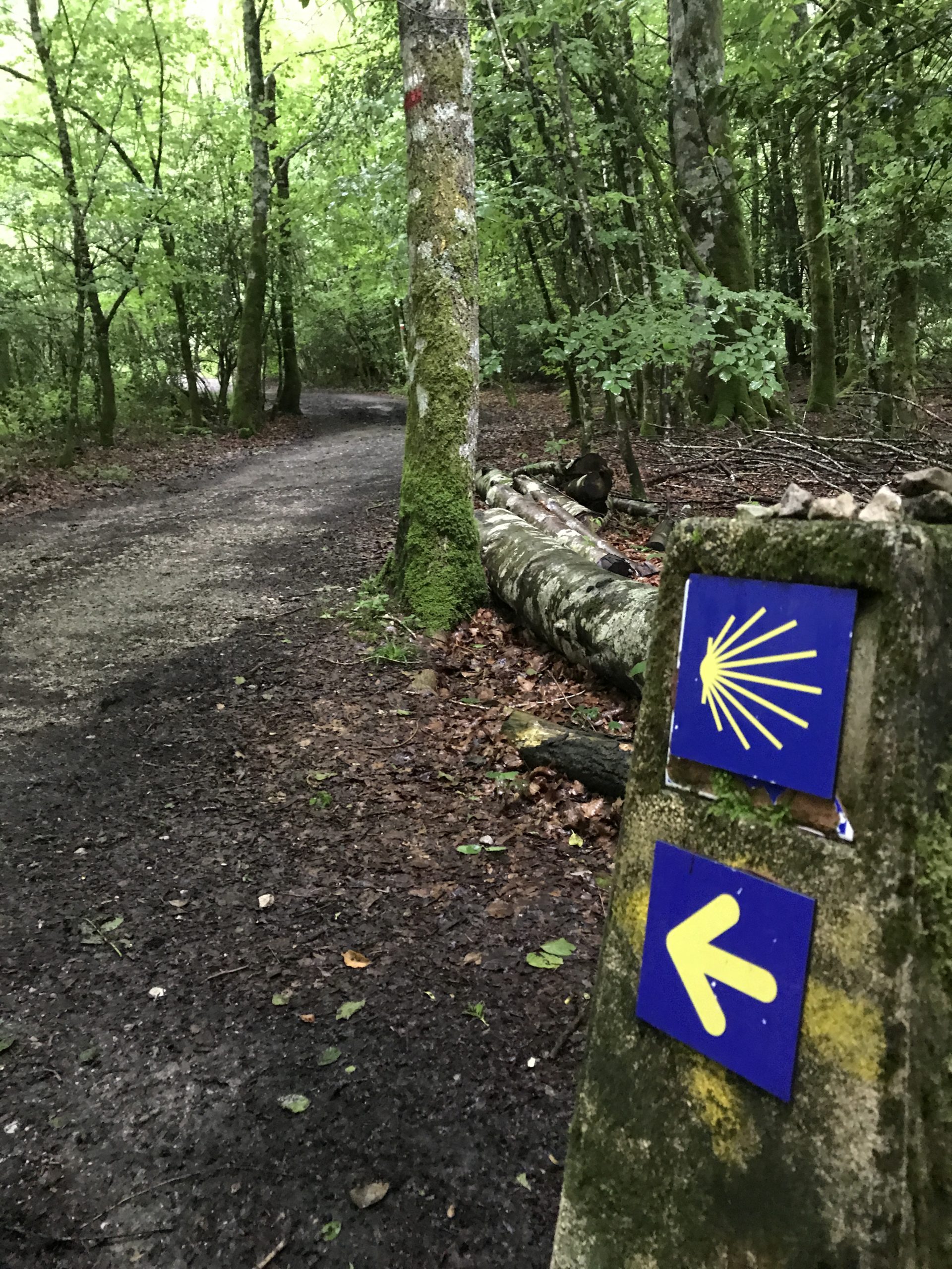 Segnaletica sul cammino