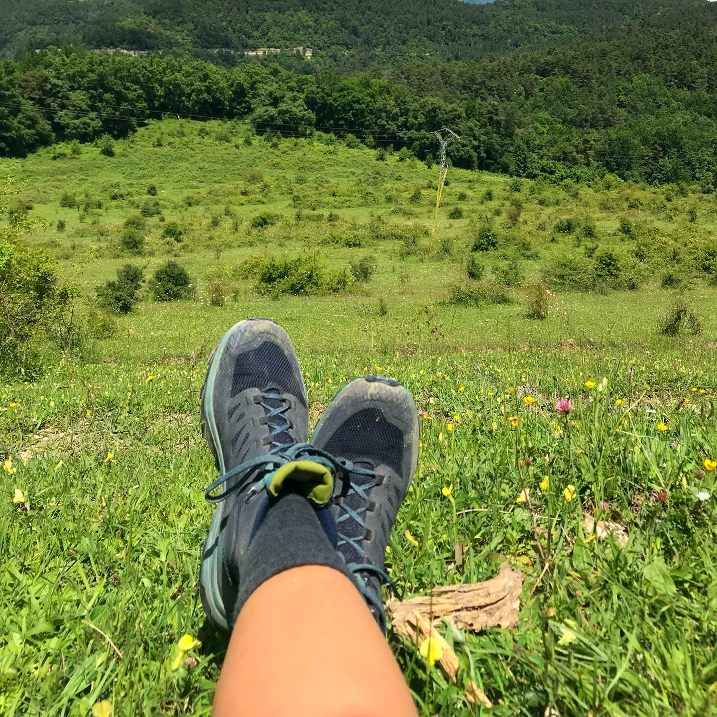 Pausa