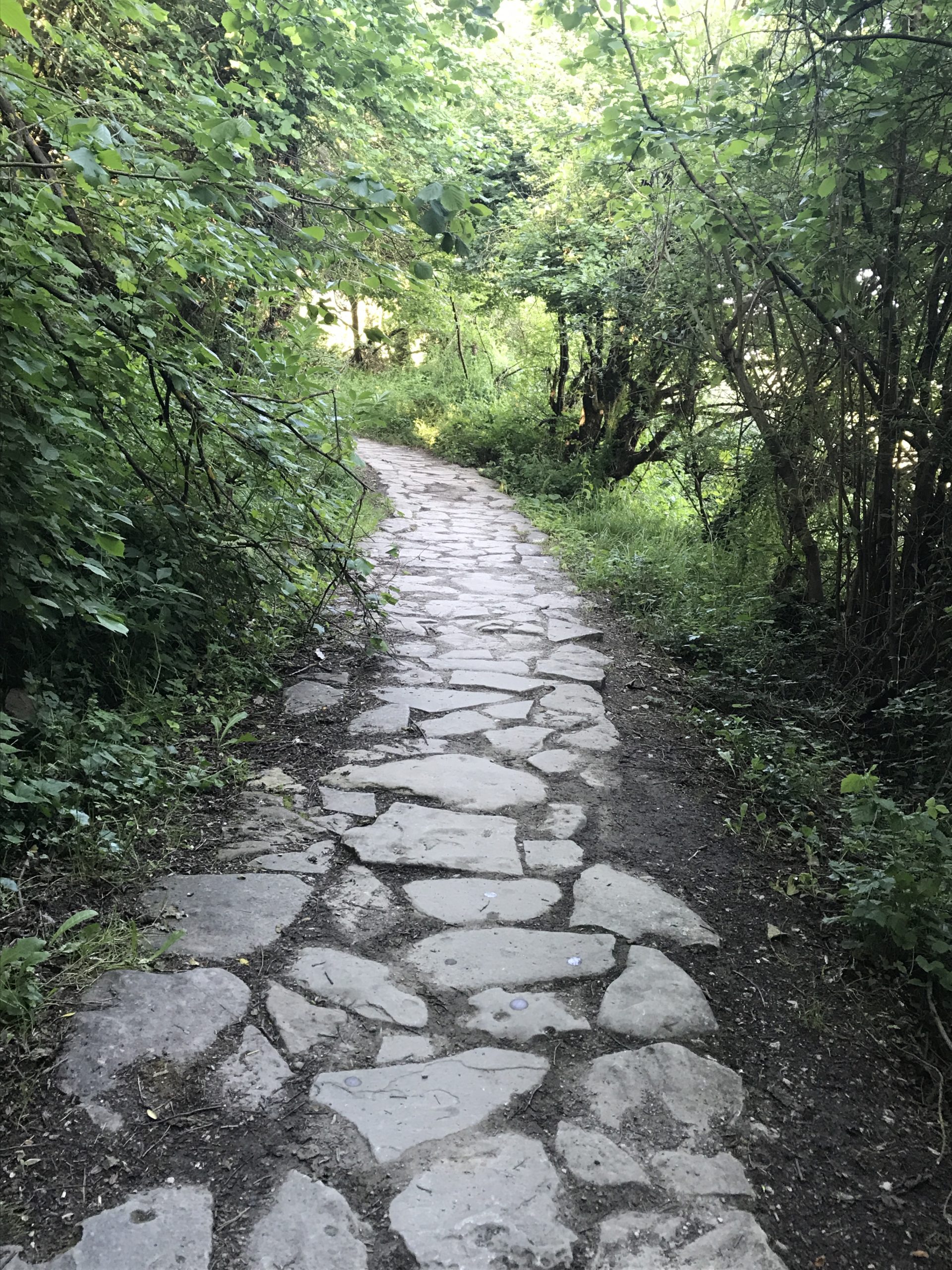 Primi km dopo Zubiri