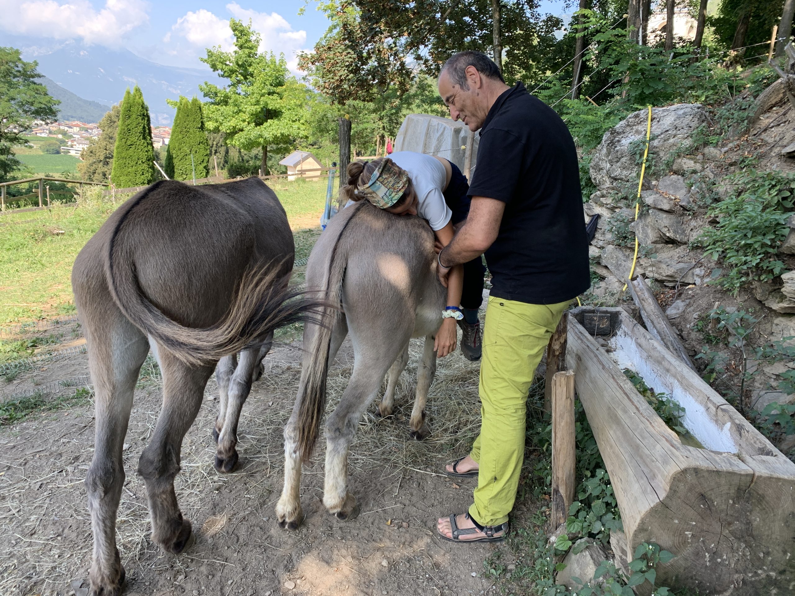 Onoterapia con Briscola