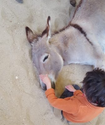 Bambina accarezza Briscola per terra