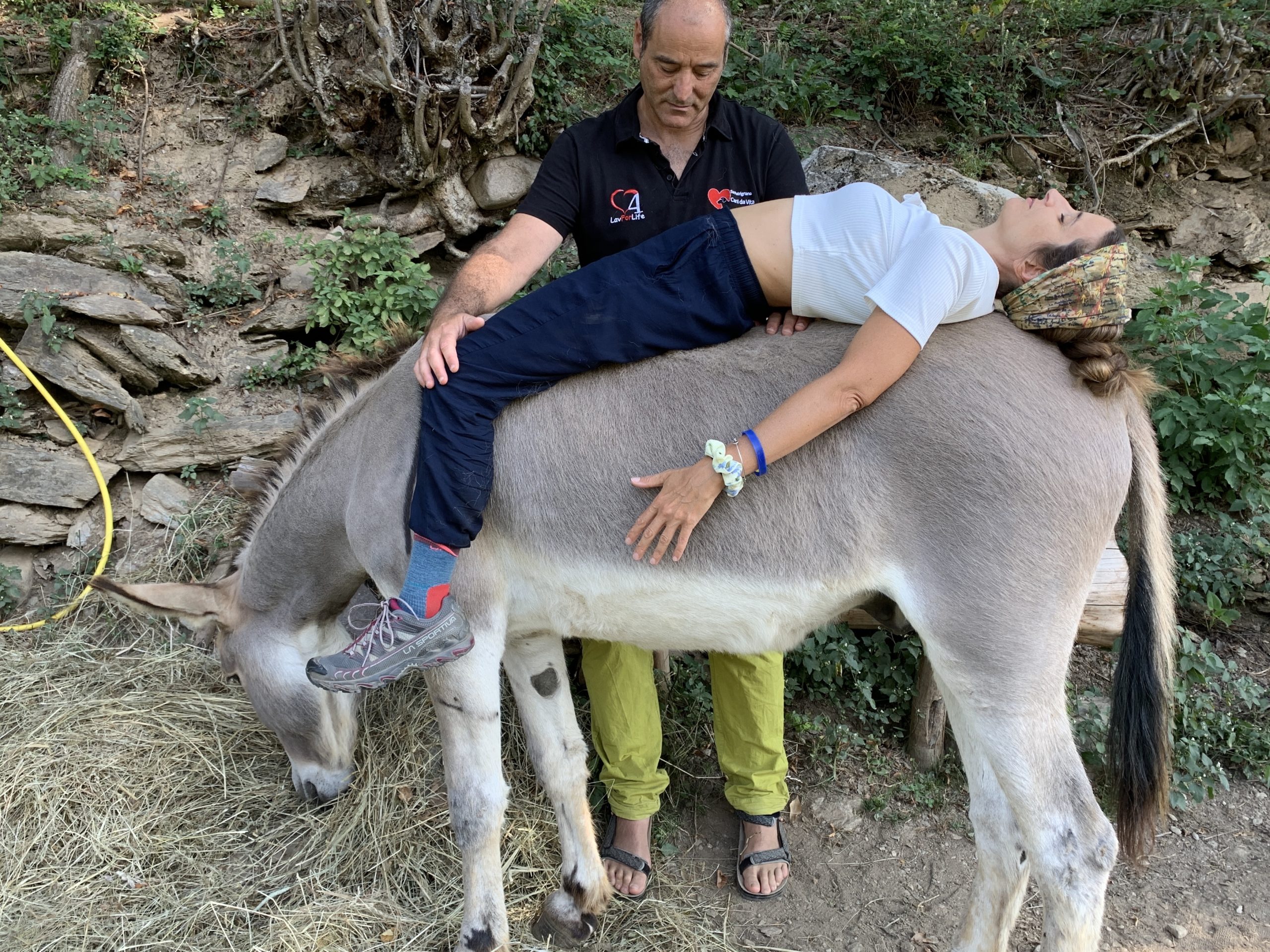 Onoterapia con Briscola