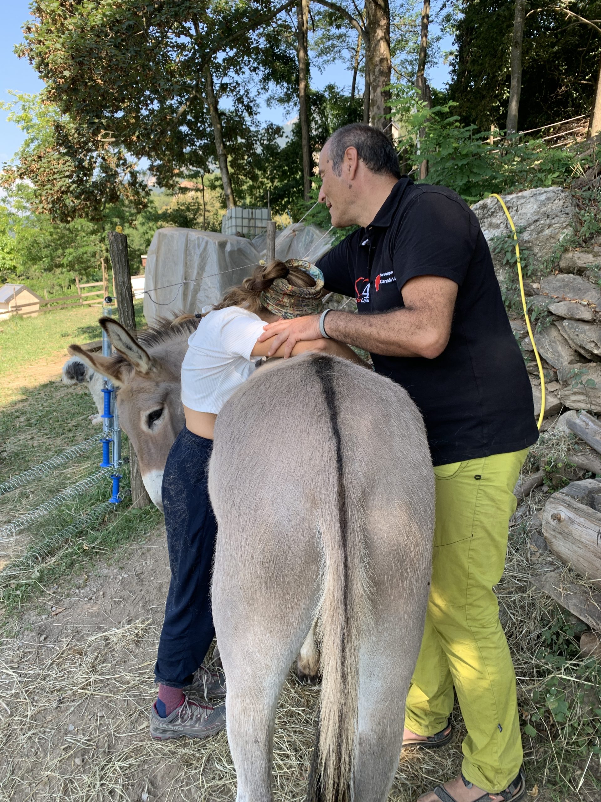 Onoterapia con Briscola